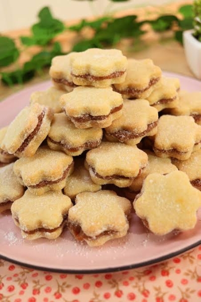 Modelo de biscoito