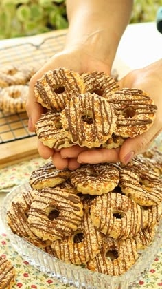 Modelo de biscoito